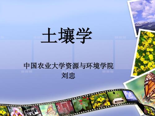 土壤学绪论