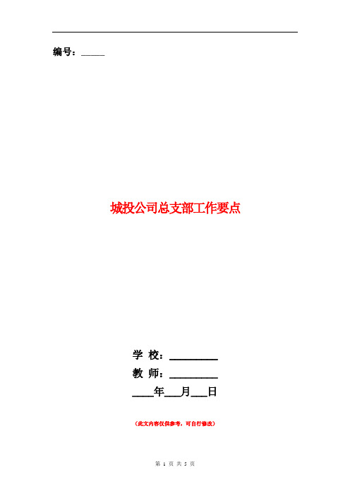 城投公司总支部工作要点