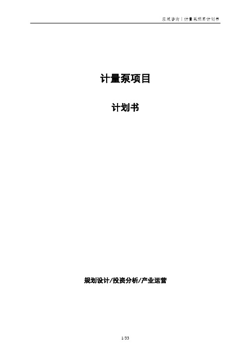 计量泵项目计划书