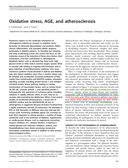 Oxidative stress, AGE, and atherosclerosis