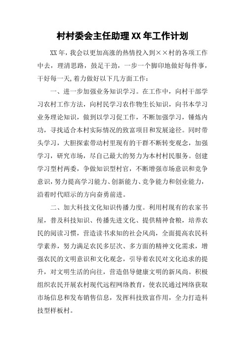 村村委会主任助理XX年工作计划
