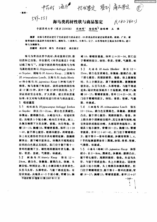 海马类药材性状与商品鉴定