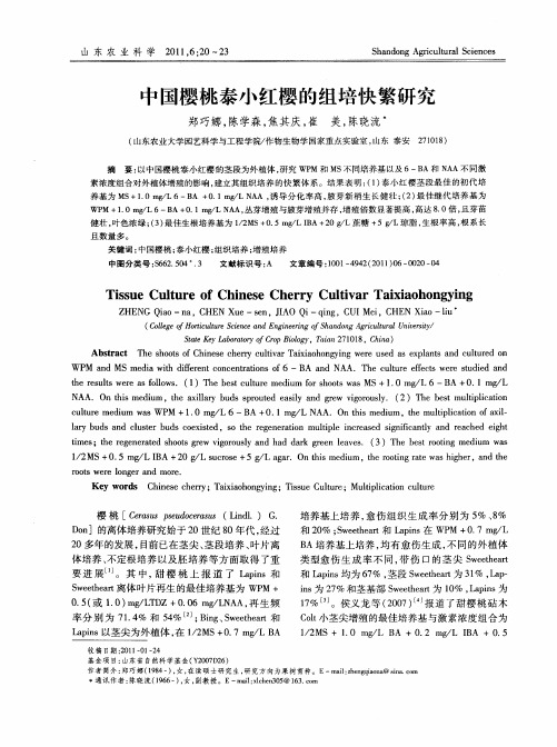 中国樱桃泰小红樱的组培快繁研究