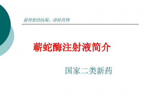 蕲蛇酶注射液简介