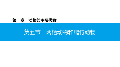 5.1.5 两栖动物和爬行动物-2020年秋人教版八年级上册生物课件(共28张PPT)