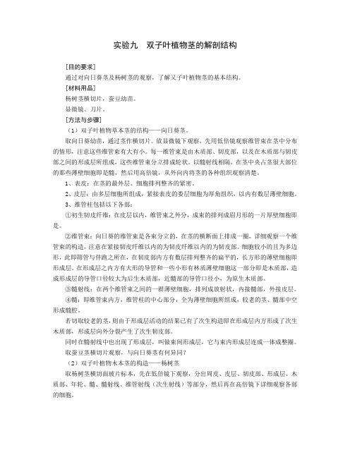 植物实验