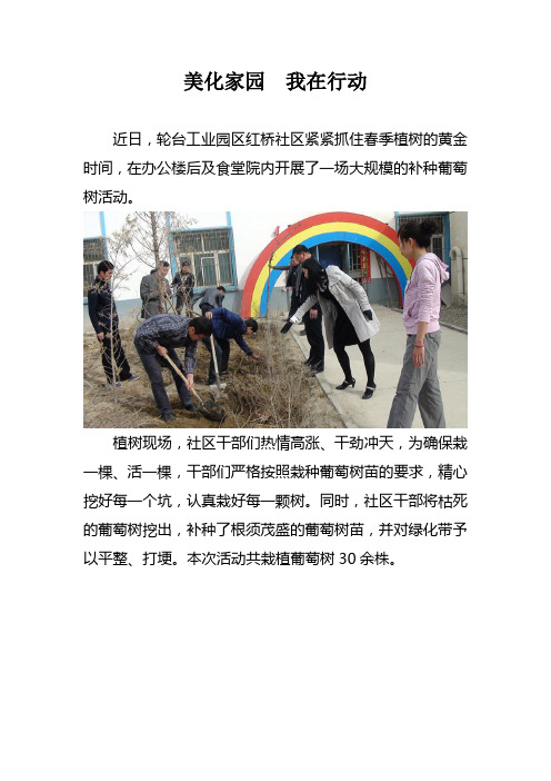 美化家园  我在行动