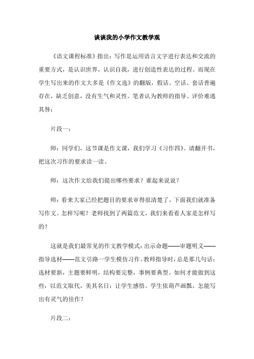 谈谈我的小学作文教学观