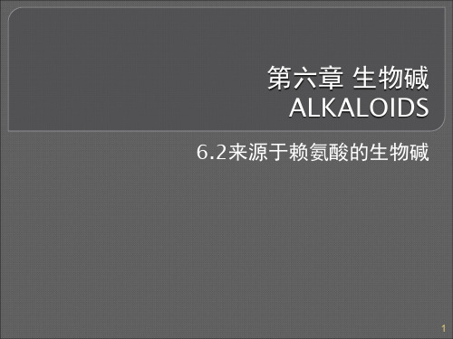 第六章 生物碱 6.2 赖氨酸来源