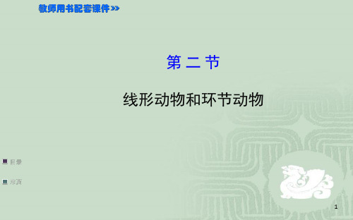 线形动物和环节动物