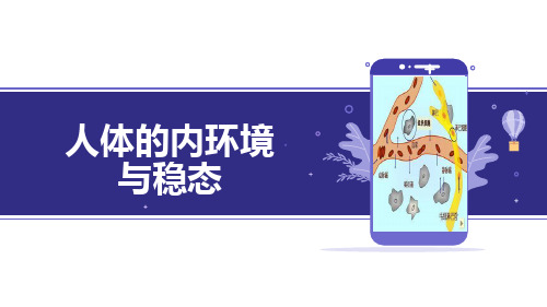 高三一轮复习-人体的内环境与稳态