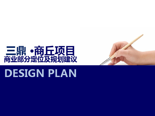 商丘凯旋路项目商业定位报告