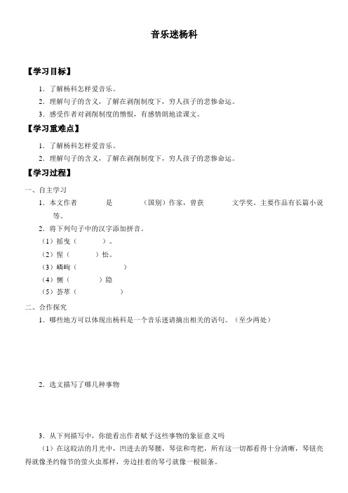 初中九年级语文学案-音乐迷扬科得奖