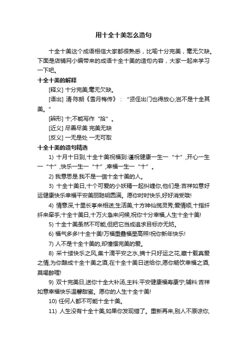 用十全十美怎么造句