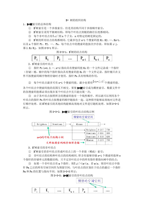 B+ 树的组织结构