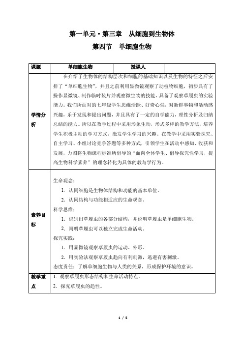 生物人教版2024版七年级上册1.3.4 单细胞生物 教学教案03