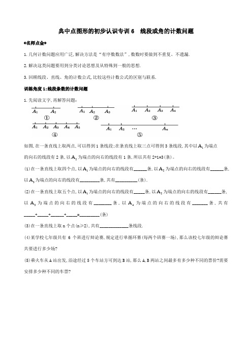 典中点图形的初步认识专训6  线段或角的计数问题