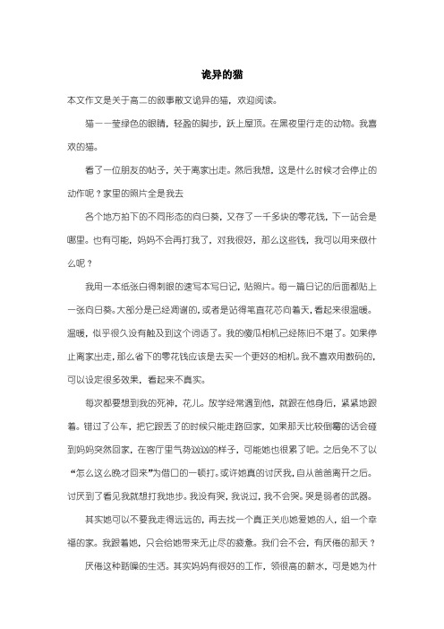 高中高二叙事散文：诡异的猫