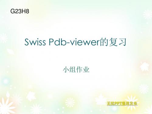 生物信息学SwissPDB-Viewer的使用共22页