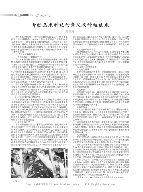 青贮玉米种植的意义及种植技术