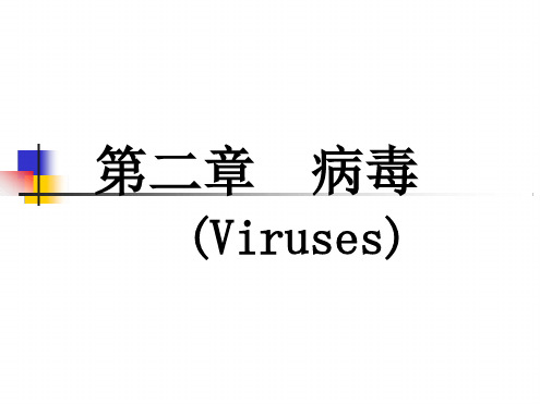 七年级下册生物课件 62第二章病毒课件2鲁科版