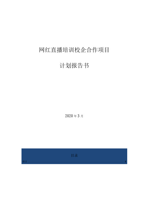 网红直播培训校企合作项目计划报告书