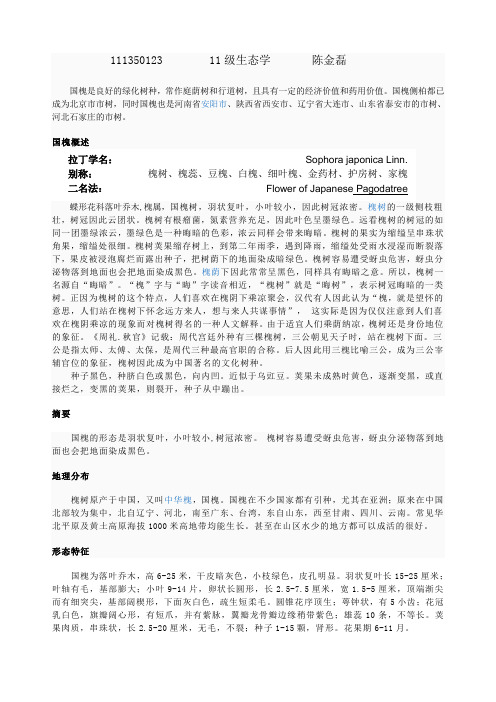 植物学国槐