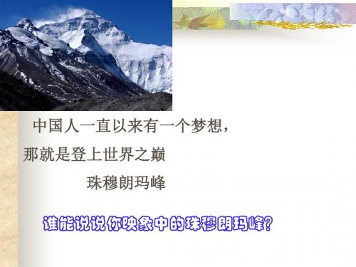 《登上地球之巅》1ppt课件(44页)分析