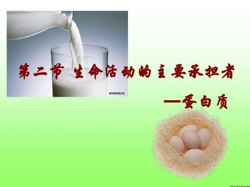 2.2.3生命活动的主要承担者蛋白质
