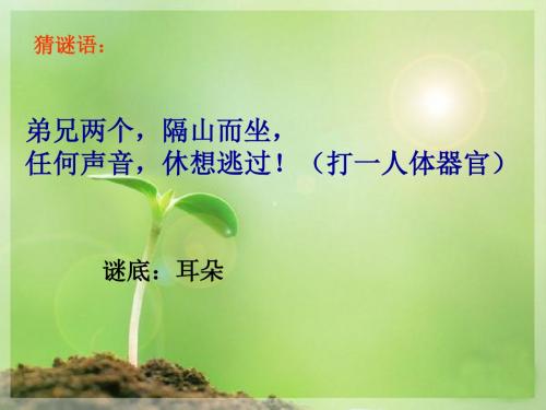 四年级语文上册习作四学用象声词作文 PPT精品课件2苏教版