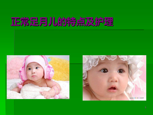 足月儿护理ppt课件