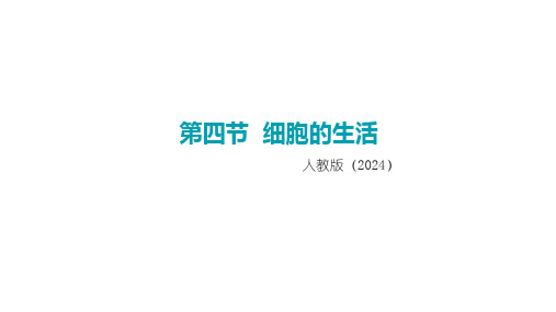 人教版(2024新版)七年级生物上册第一单元第二章第四节《细胞的生活》精品课件