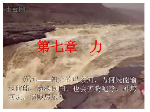 教科版初二物理下册第七章力复习课件
