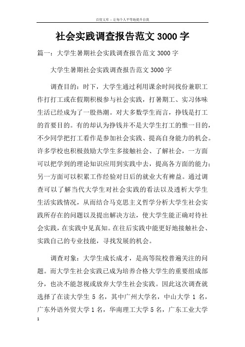 社会实践调查报告范文3000字doc