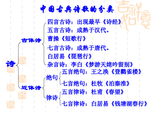 北师大版语文第十一册《十五从军征》课件2