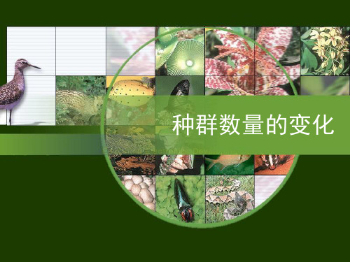 生物人教版必修三种群的数量变化完美课件