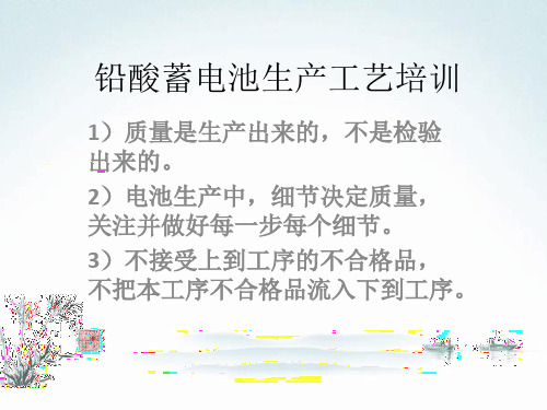 铅酸蓄电池生产工艺培训