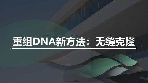 改：无缝克隆
