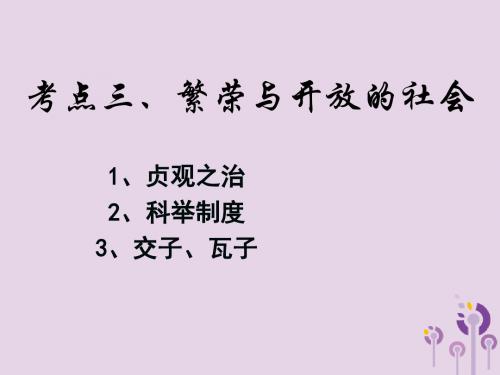 江苏省2018届中考历史复习第13课时中国古代史考点三课件
