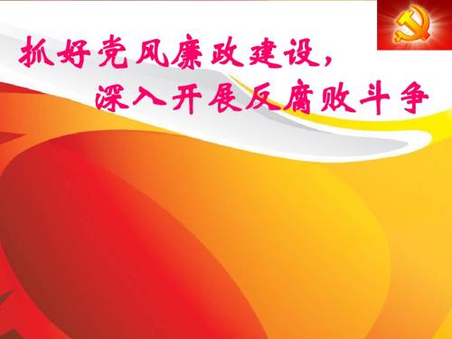 抓好党风廉政建设,深入开展反腐败斗争