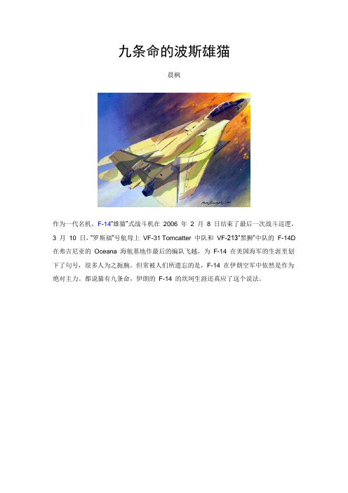 九条命的波斯雄猫--F14在伊朗
