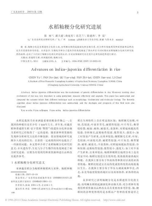 水稻籼粳分化研究进展_陈雨