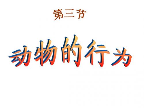 17.0 运动与行为章节复习课件 (苏科版八年级上) (2)
