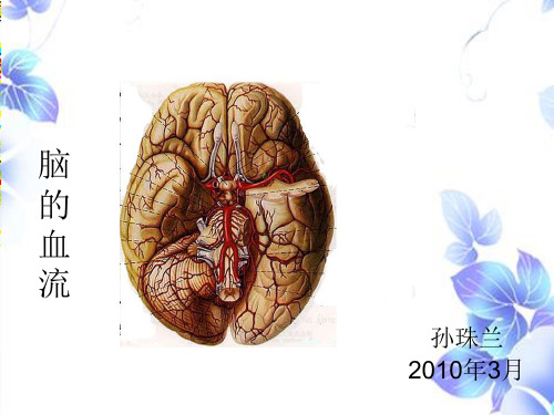 脑的血流