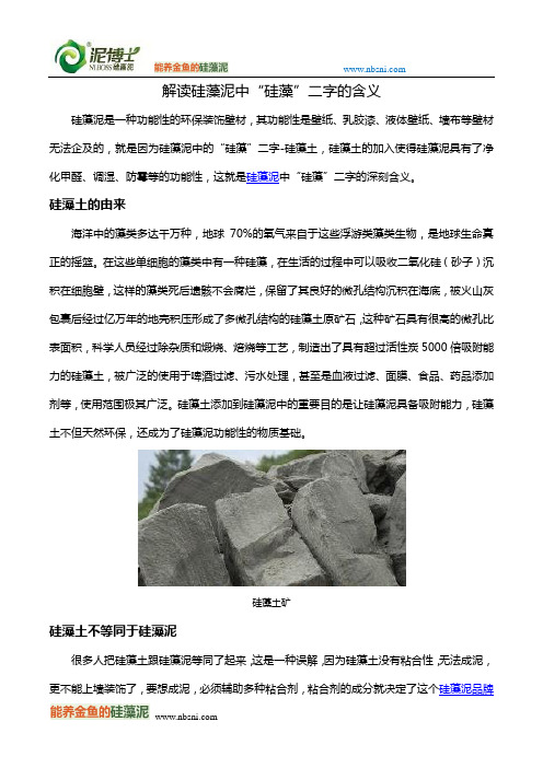 解读硅藻泥中“硅藻”二字的含义