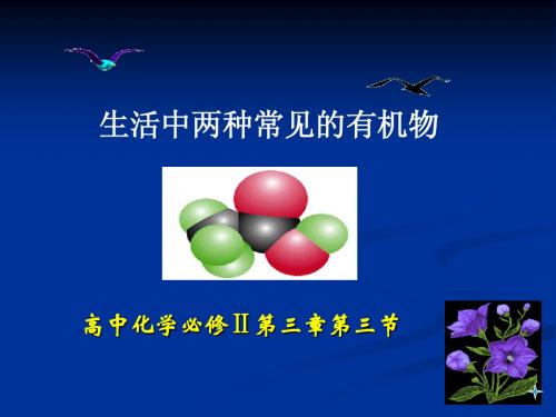 乙酸公开课