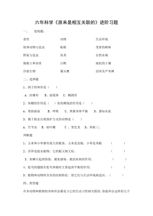 六年级上册科学习题-4.6 原来是相互关联的｜教科版  含答案