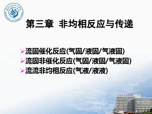 第三章  非均相反应