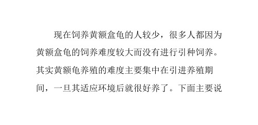 黄额盒龟开食期间的喂食调理