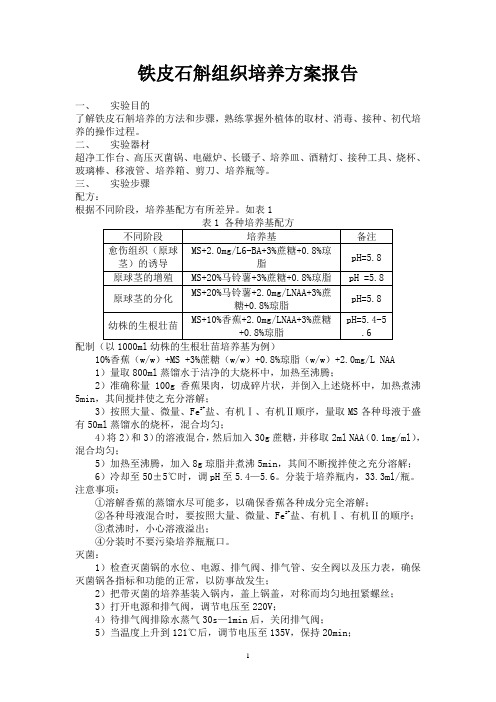 铁皮石斛组培方案